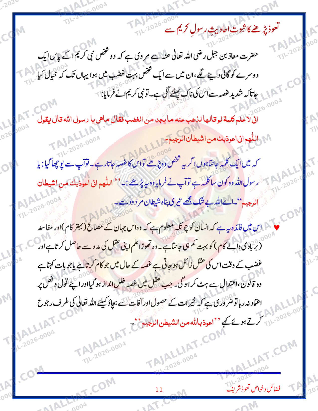 صفحہ 11