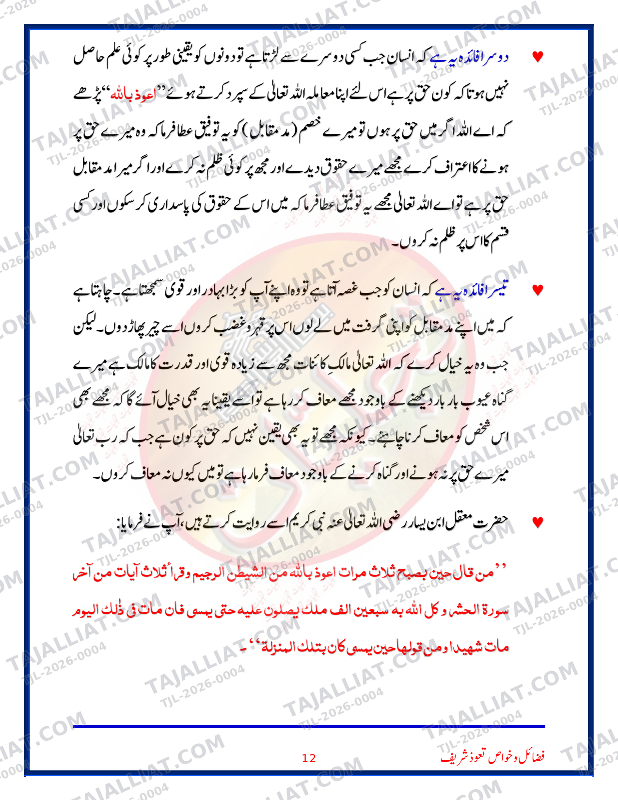 صفحہ 12