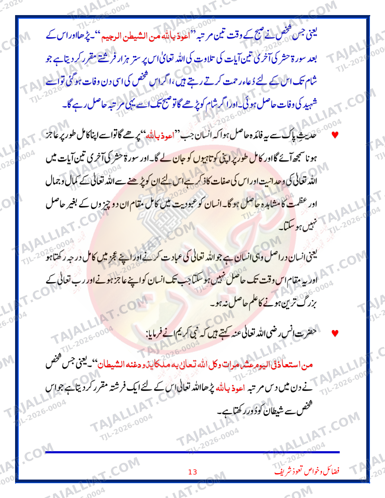 صفحہ 13