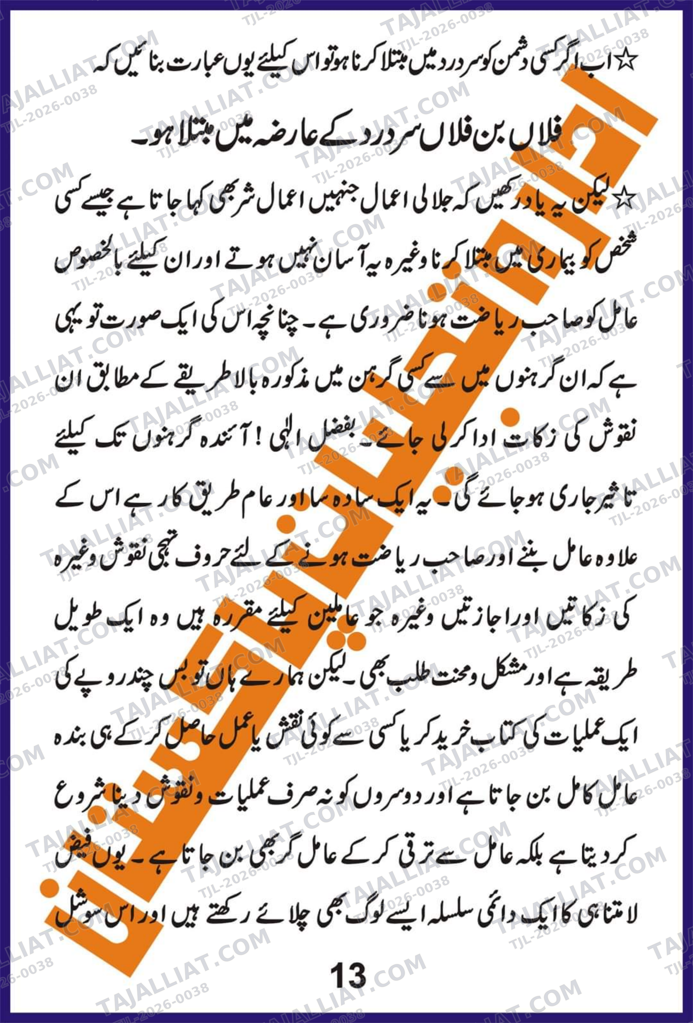 صفحہ 13